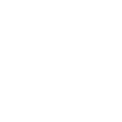 FGI