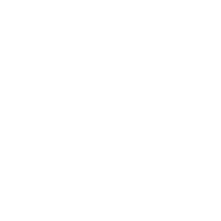 VERI